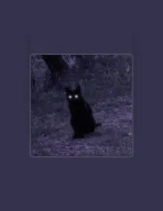 聆聽 sonbahar、觀看音樂影片、閱讀小傳、查看巡演日期等！