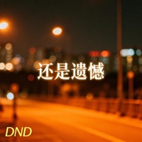 还是遗憾 - Single - DND