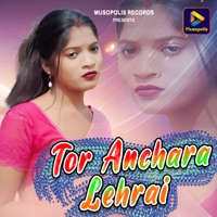 Tor Anchara Lehrai - Single - Basir Ansari & Jyoti Sahu