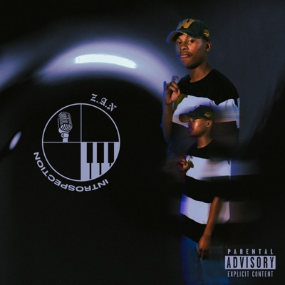 Introspection - EP
