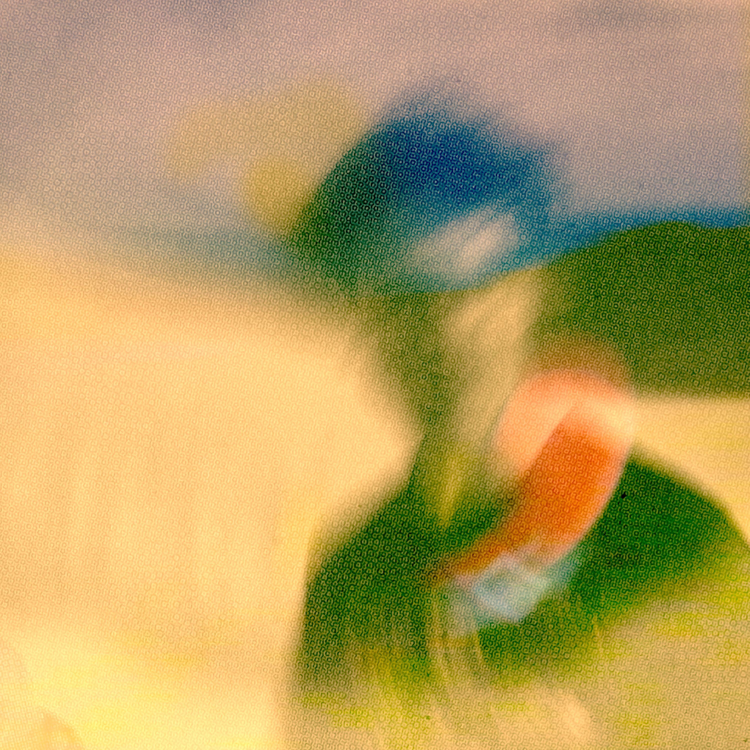 Lemony Rug - Open Plains