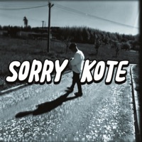Sorry kotě - Single - Wincius