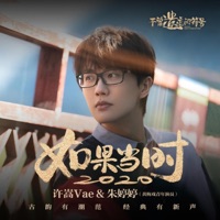 如果当时2020 - Single - Vae Xu & 朱婷婷