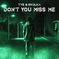 Don't You Miss Me - Single - Tye