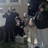 wrong.team.lol - Single - widowz