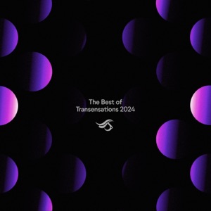 The Best of 2024 Mixed (DJ Mix)