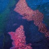 My Reversible Reaction - EP