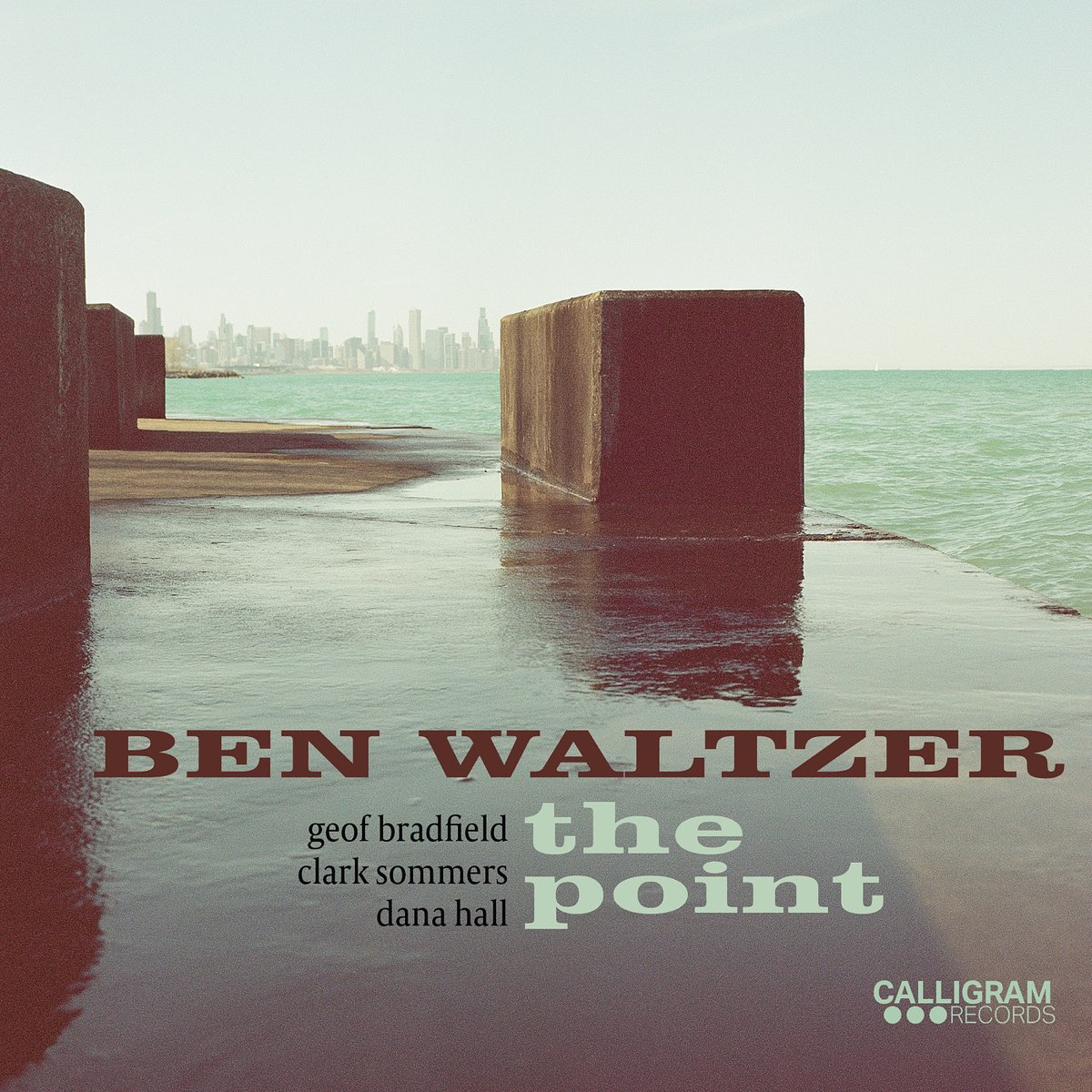 ‎The Point - Álbum de Ben Waltzer - Apple Music