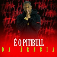 É o Pitbull da Arábia - Single - Mc Romântico, DJ PH CALVIN & Dj Pixadão