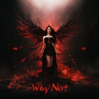 Why Not - Single - 符雅凝
