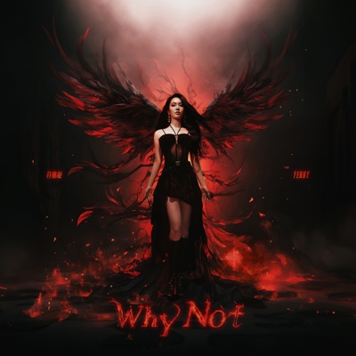Why Not - Single