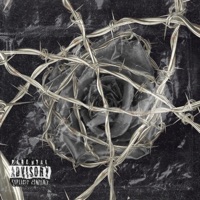 Prohibida - Single - YOVNGMOLLY