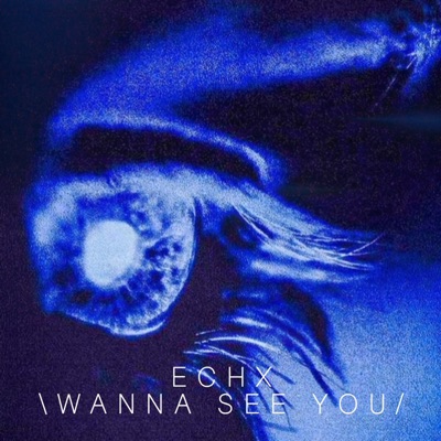 Wanaa see you - Single