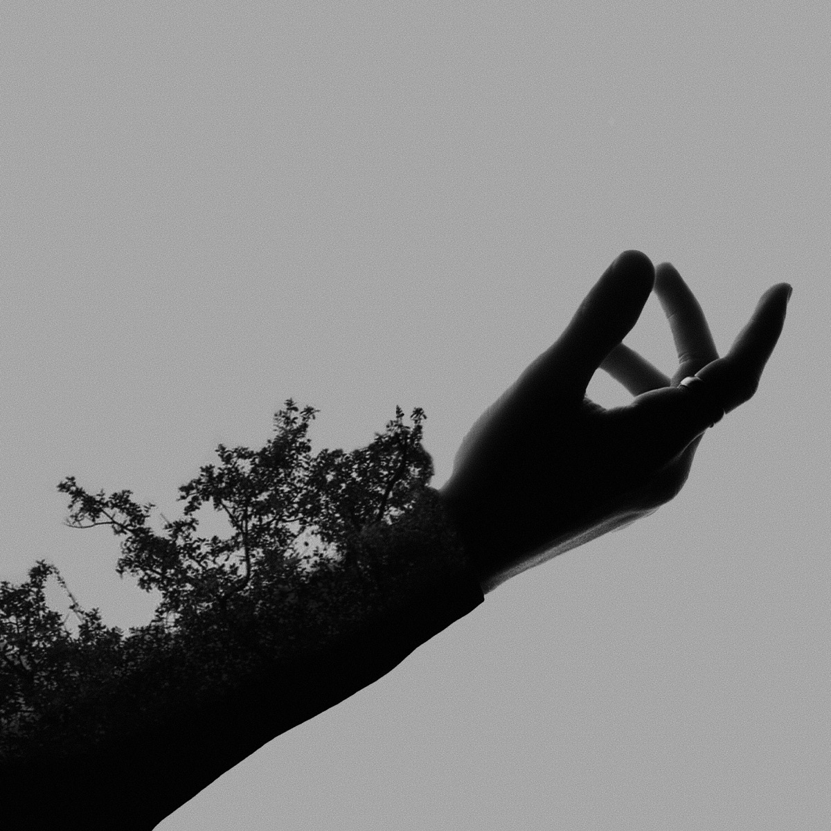 Luxuria
