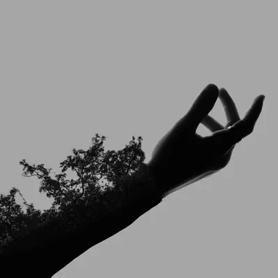 Listen to Fragility by bulletsbetweentongues