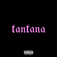 TANTANA - Single - Vaqmeir & NMS