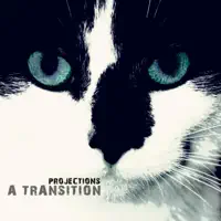 Vacuum — A Transition