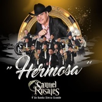 Hermosa - EP - Samuel Rosales y Su Banda Sierra Grande