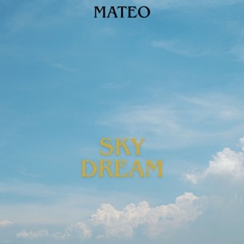 Numbers Mateo