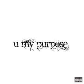 u my purpose somber111