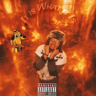 It is what it is (feat. $hake) - Single