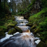 Minstrel Michaela (feat. Marty Craggs) - Single - Dave Whiffin