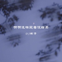 明明这样爱着没有结果 - Single - DJ辉仔
