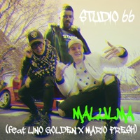 MALUMA (feat. Lino Golden & Mario Fresh) - Single - STUDIO 66