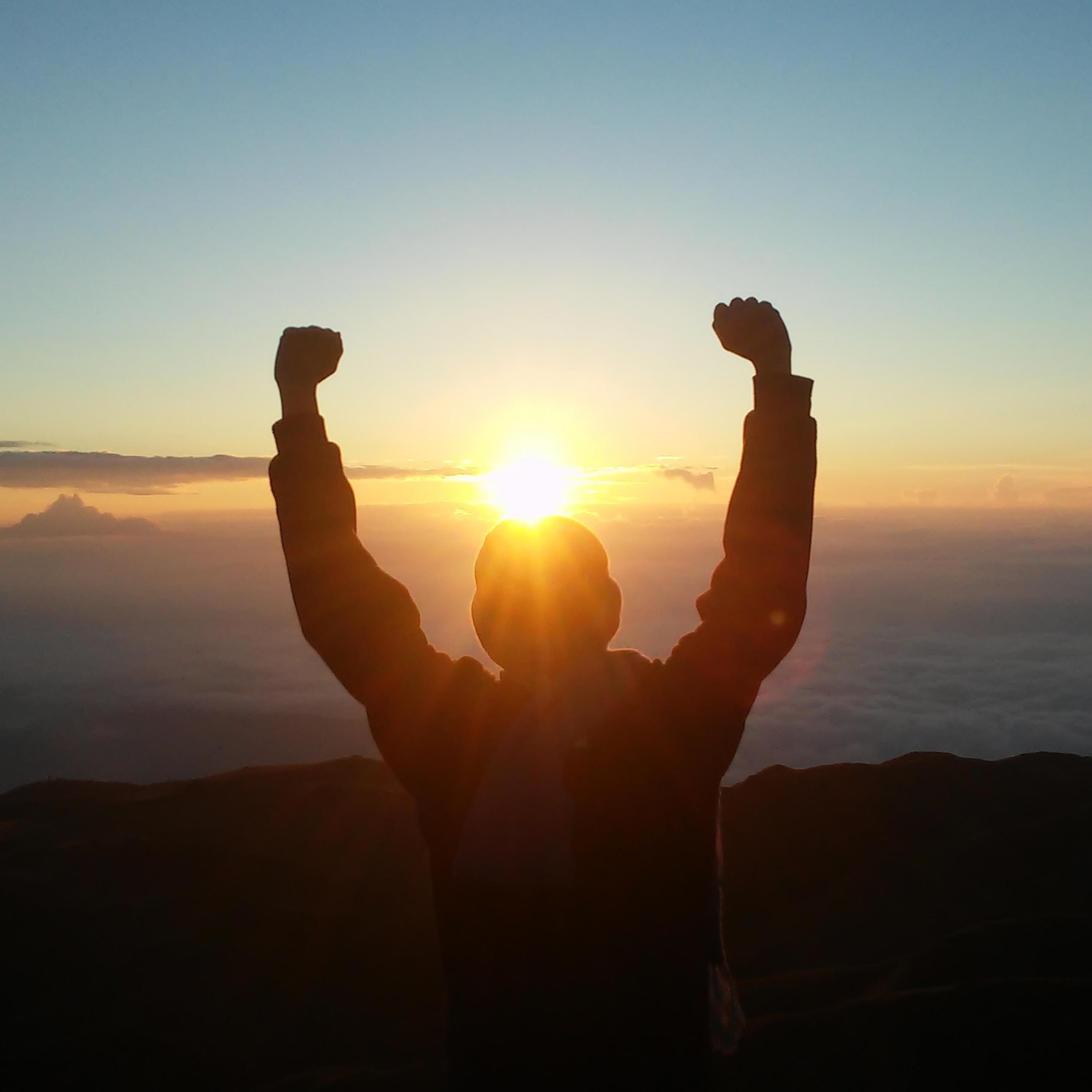 Alma Herida - Single