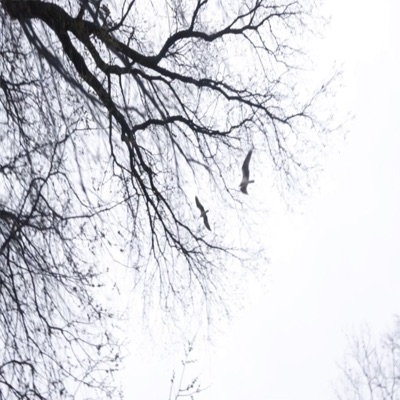 guardian angel (feat. Leano) - Single