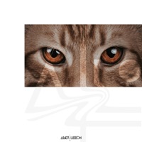 Amber Eyes (feat. No One) - Single - Andy Leech