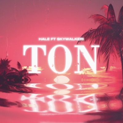 Ton (feat. Skywalkeri) - Single