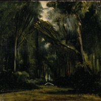 Forest - Single - Conor