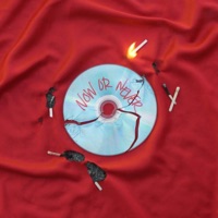 Now or Never - Single - Lui Joseph & Saticöy