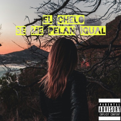 Se Me Pelan Igual - Single