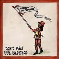Can't Wait For Patience - Magnetic The Shaman & Brainorchestra