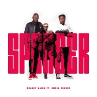 SPENDER (feat. Umoja Sounds) - Single - Brandy Maina