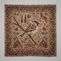 MAAFI - Single - SEHER, Annural Khalid & Shahmeer Raza Khan