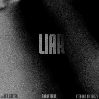 LIAR - Single
