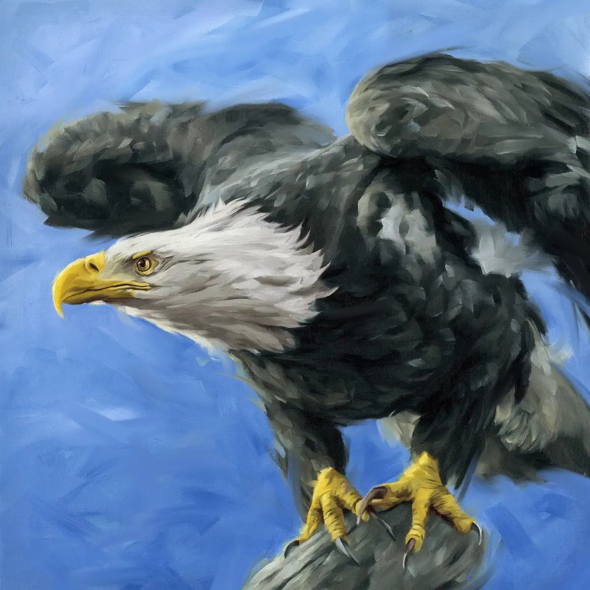 waterweed - Departures (2024) [iTunes Plus AAC M4A]-新房子