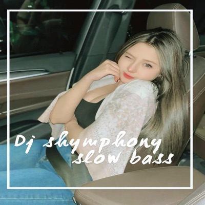 Momoy fvnky - Dj symphony sloww bass