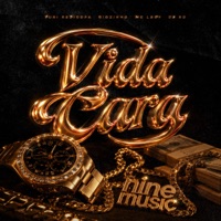 Vida Cara (feat. Yuri Redicopa) - Single - MC LBOY, Giozinho & DJ RD