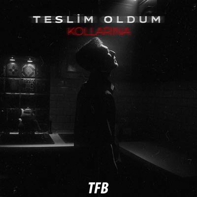 Teslim Oldum Kollarına - Single