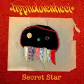 Secret Star