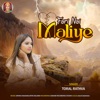 Fari Nai Maliye - Single