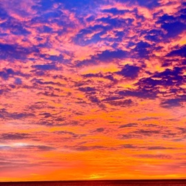 love West Coast Massive & steven island