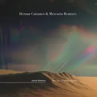Dust (feat. French For Rabbits) [Hernan Cattaneo & Mercurio Remix] — Jamie Stevens