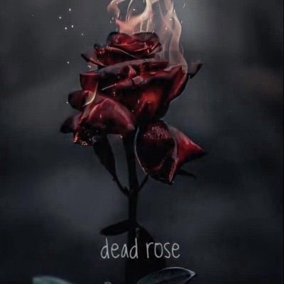 Dead Rose - Single