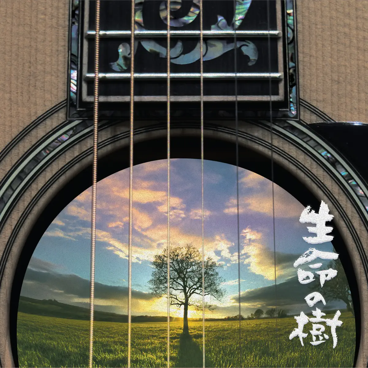さだまさし - 生命の樹～Tree of Life～ (2025) [iTunes Plus AAC M4A]-新房子