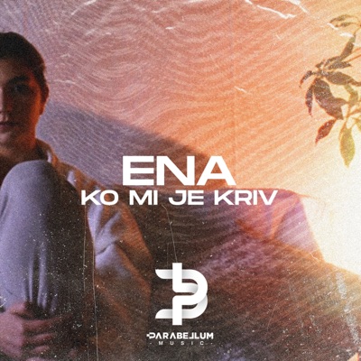 Ko Mi Je Kriv - Single